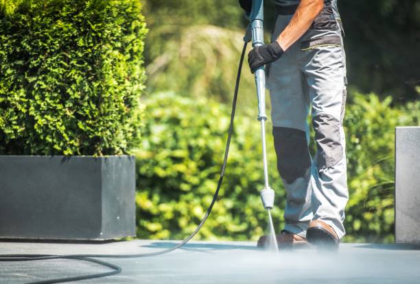 Best Fence Cleaning and Maintenance in Bedford, VA