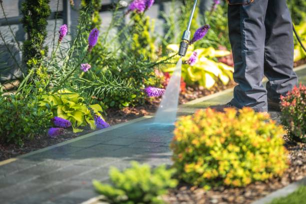 Best Building Exterior Pressure Washing in Bedford, VA