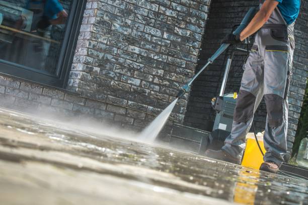 Best Roof Cleaning and Mildew Removal in Bedford, VA